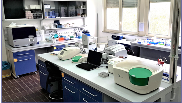 Laboratorio genetica 1