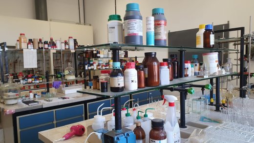 Laboratorio Vitale 2